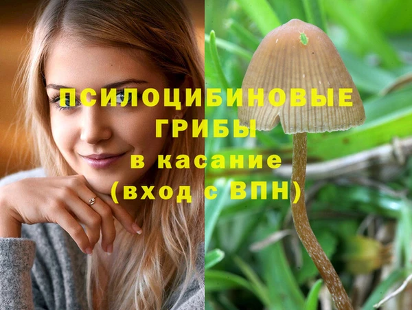 таблы Богданович