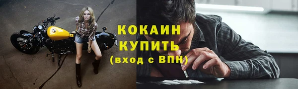 ALPHA PVP Богородицк