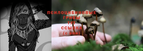 таблы Богданович