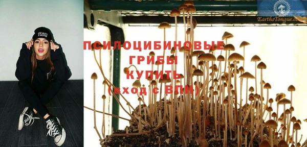 ALPHA PVP Богородицк