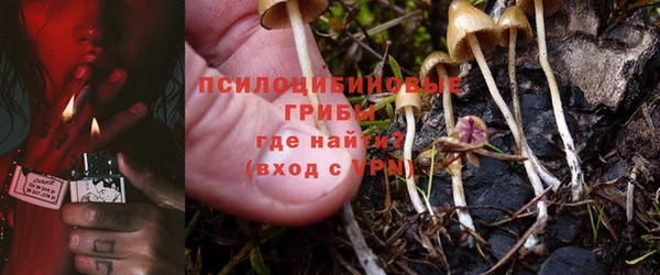 таблы Богданович