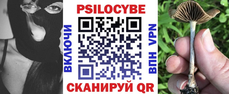 купить наркотик  Ленинградская  Галлюциногенные грибы Cubensis 